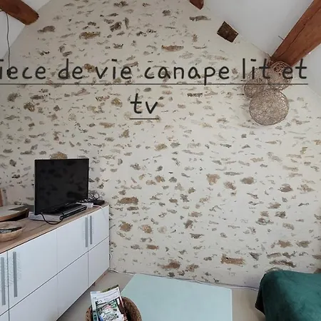 Appartement L'ancienne Vannerie, Disney,parrot