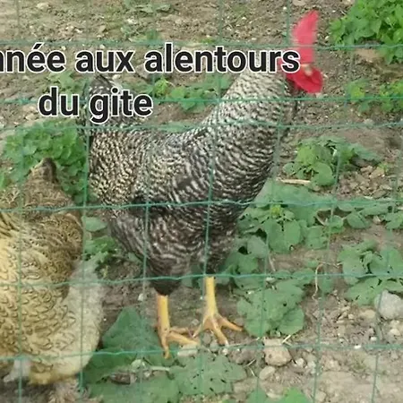 L'ancienne Vannerie, Disney,parrot Διαμέρισμα