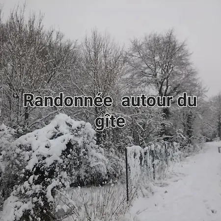 Διαμέρισμα L'ancienne Vannerie, Disney,parrot
