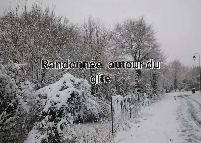Διαμέρισμα L'ancienne Vannerie, Disney,parrot